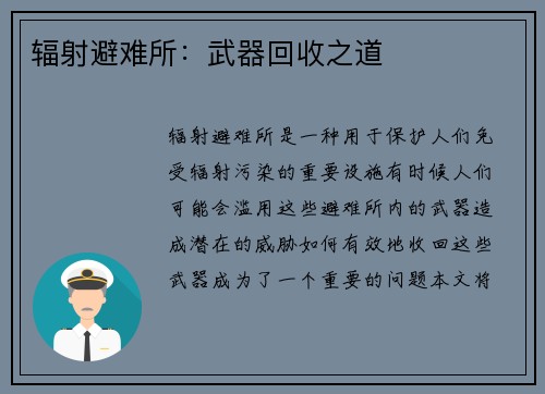 辐射避难所：武器回收之道